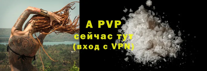 сайты даркнета какой сайт  Киржач  A-PVP СК КРИС 